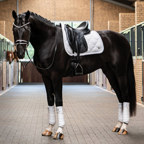 PS of Sweden Ruffle Dressage Saddle Pad