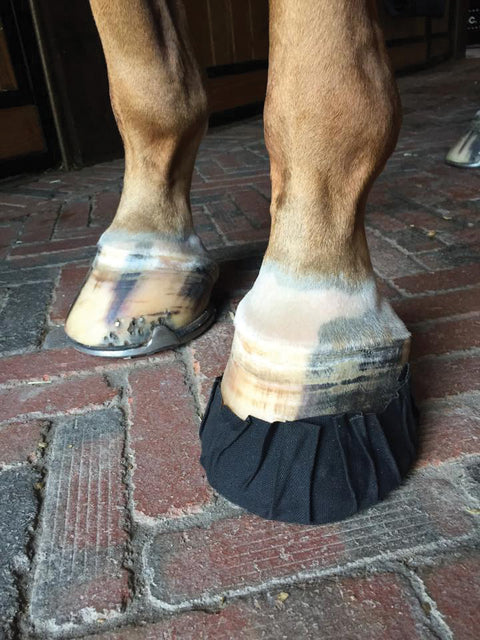 EquiFit® Pack-N-Stick HoofTape - 6 pack