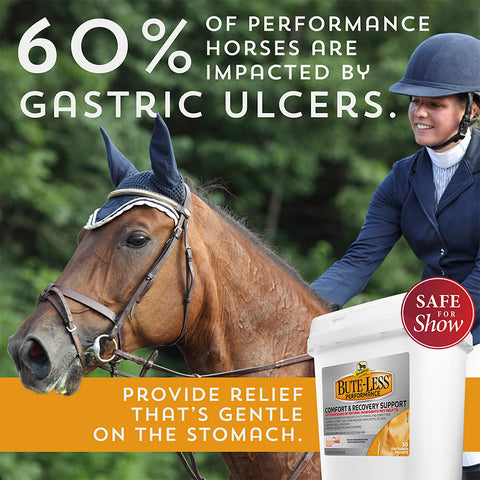 Bute-Less® Performance Comfort & Recovery Pellets