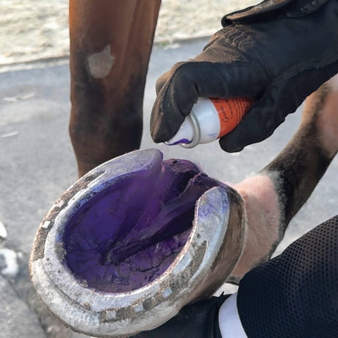 Groom’s Hand Thrush Solution®