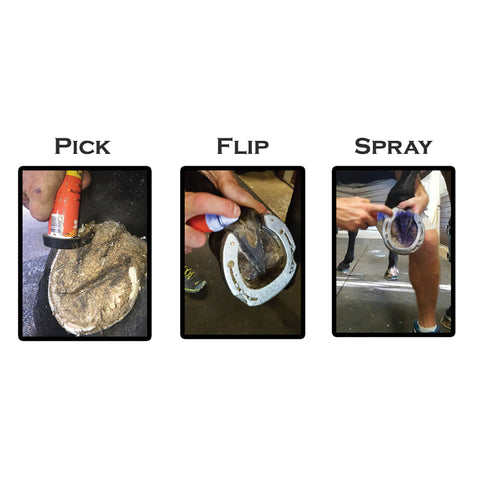 Groom’s Hand Thrush Solution®