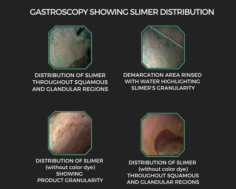 Equine Elixirs Slimer Liquid Gastric Support
