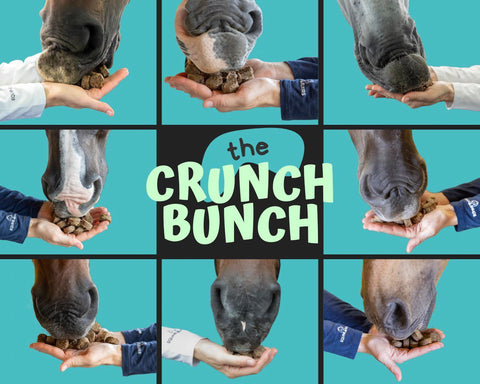 Equine Elixirs Tummy Crunchies Antacid Crunchies - 17 servings (store only)