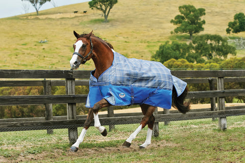 WeatherBeeta® ComFiTec™ Free Standard Neck Medium Weight Turnout Blanket