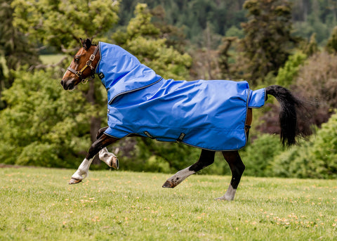 Horseware® Ireland Amigo® Hero Ripstop 50 Gram Lite Turnout Blanket