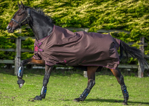 Horseware® Amigo® Hero 900 Lite Net Lined Turnout with Disc Front