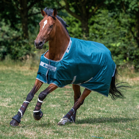 Bucas Atlantic 400 Gram Turnout Blanket