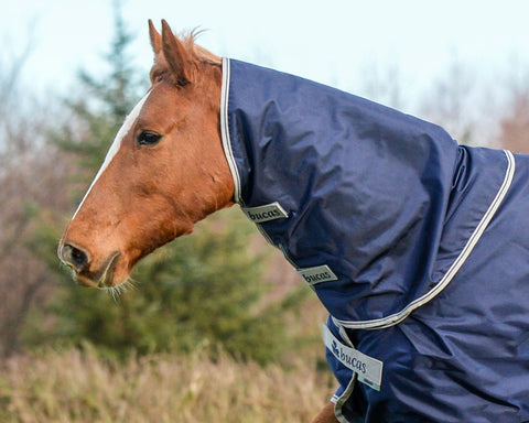 Bucas Atlantic Combi Neck Cover - 50 Grams