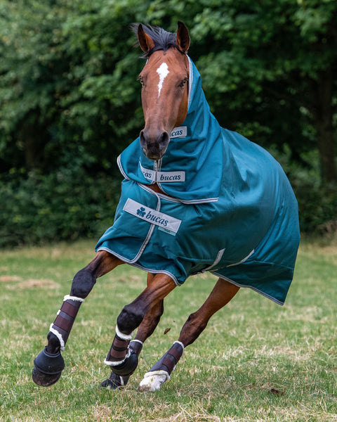 Bucas Atlantic Combi Neck Cover - 50 Grams