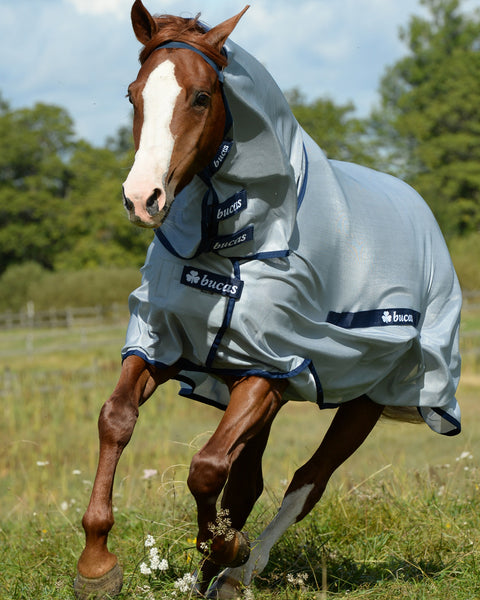 Bucas Buzz-Off Fly Sheet with High Neck