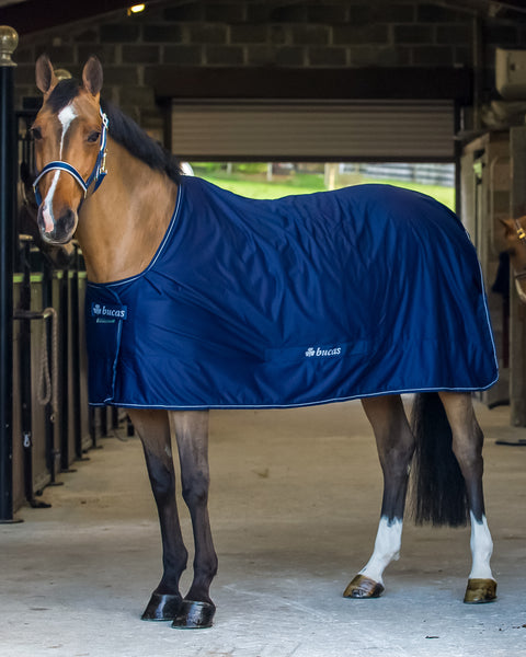 Bucas Shamrock Power Cooler