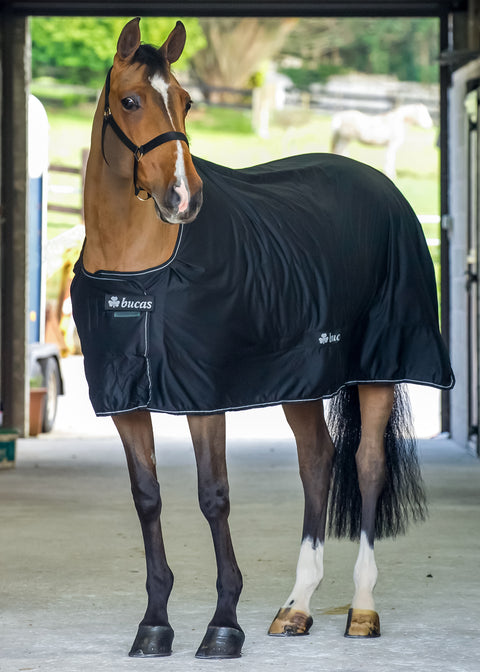 Bucas Shamrock Power Cooler