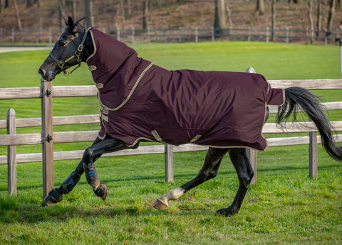 Horseware® Ireland Amigo® Hero Ripstop Plus 100 Gram Turnout Light Blanket
