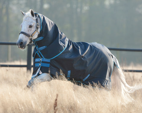 Horseware® Ireland Pony Amigo® Bravo 12 Plus Medium-Weight Turnout Blanket