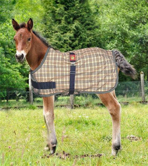 5/A Baker® Expand-O-Blanket Turnout for Foal & Pony