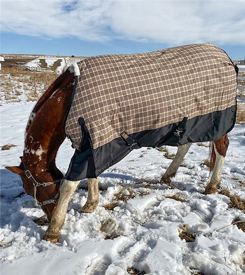 5/A Baker® Black Label Heavyweight Turnout Blanket