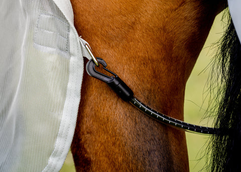 Horseware® Ireland Amigo® AmECO Combi (No Fill)