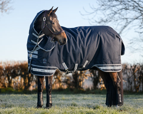 LeMieux® Arika Storm-Tek 350 Gram Turnout Blanket with Leg Straps