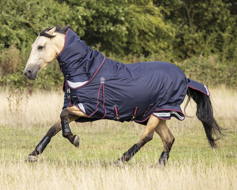 LeMieux® Kudos 100 Gram Turnout Blanket with Leg Straps