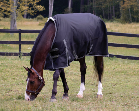 Rider’s International™ Supreme 100 Gram Turnout Blanket