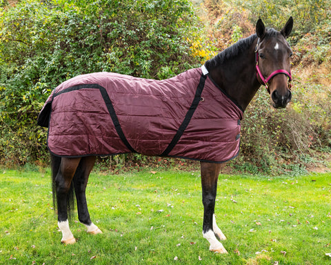 Snuggie Heavyweight Stable Blanket, Large