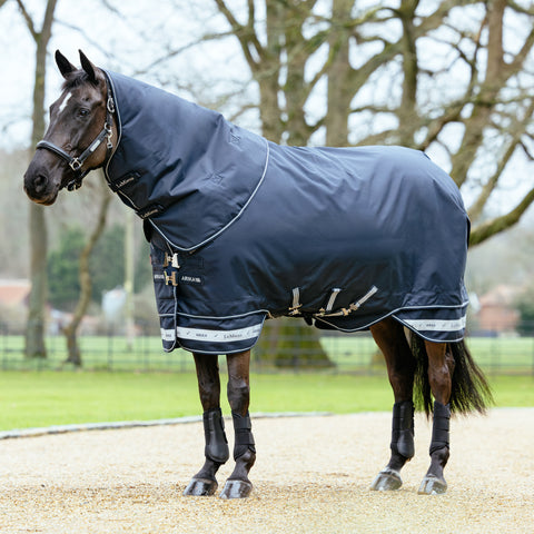 LeMieux® Arika Storm-Tek 350 Gram Turnout Blanket with Leg Straps