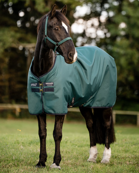 Horseware® Ireland Amigo® Ripstop 900D 200 Gram Standard Neck Pony Turnout–Seasonal Color
