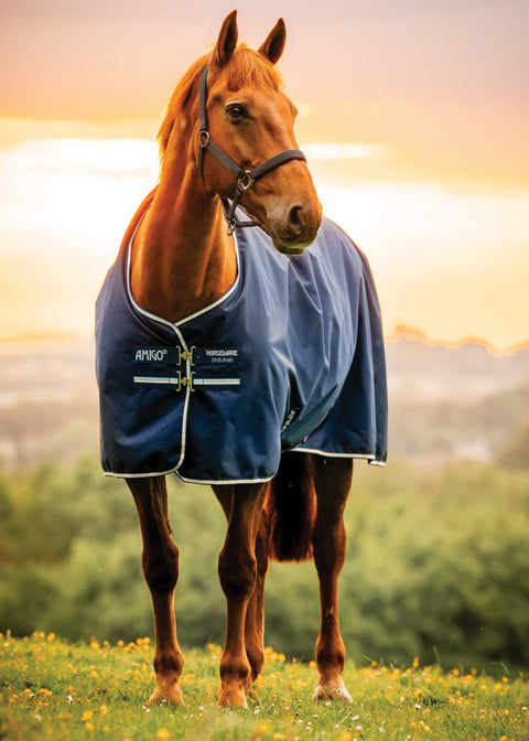 Horseware® Ireland Amigo® Ripstop 900D Standard Neck Pony Turnout Sheet