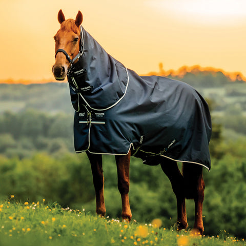 Horseware® Ireland Amigo® Ripstop 900D 100 Gram Plus Turnout