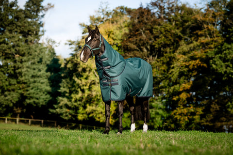 Horseware® Ireland Amigo® Ripstop 900D Plus Pony Turnout Sheet