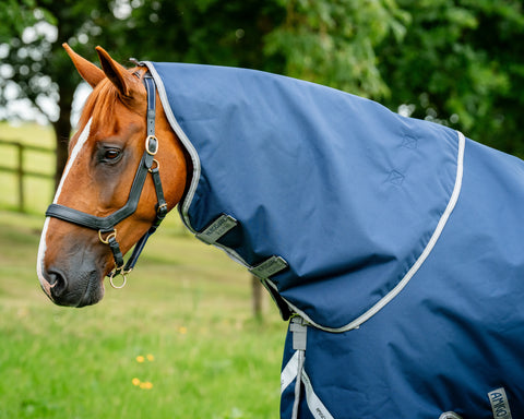 Horseware® Ireland Amigo® 1200D Plus Turnout