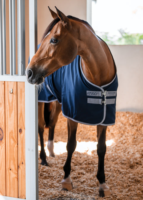 Horseware® Ireland Amigo® Stable Sheet–Core Color