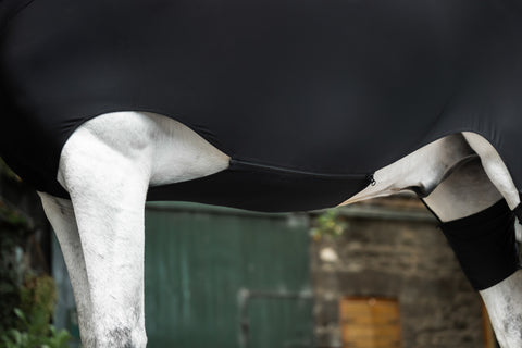 Horseware® Ireland Rambo® Slinky Full Body