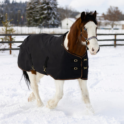 Kensington™ Signature Heavyweight Draft Turnout Blanket