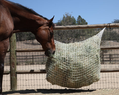 Freedom Feeder Extended Day Net