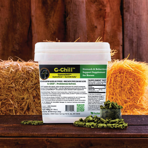 SynNutra Equine® GastroChill™ Pellets