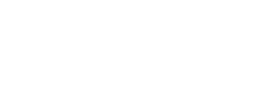 Dressage Extensions