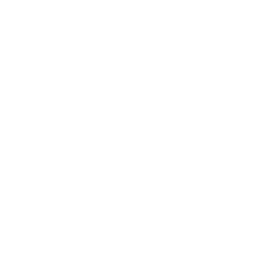 Ariat logo with transparent background