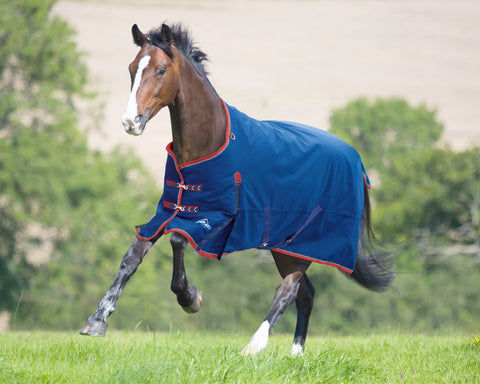 Shires Highlander 300G Blanket