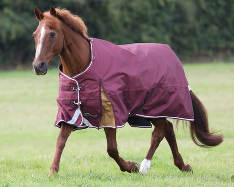 Shires Highlander 100G Blanket